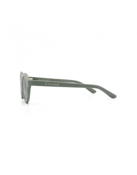 Sage Sunglasses 4-8 4