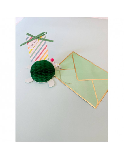 Tortoise Honeycomb Birthday Card One Size