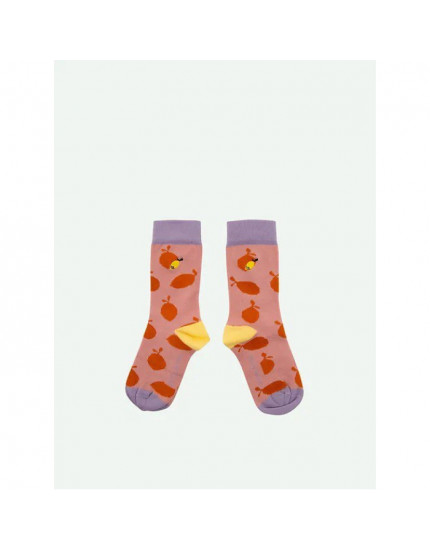 Socks Lemons 22-24