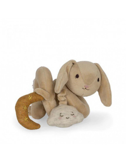 Bunny Activity Spiral Toy 0M+