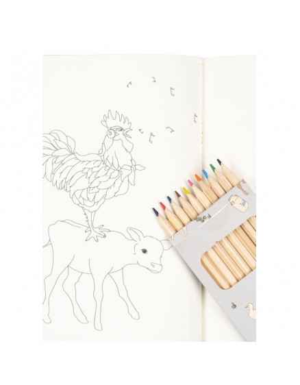 Coloring Book and Crayons Farm 3