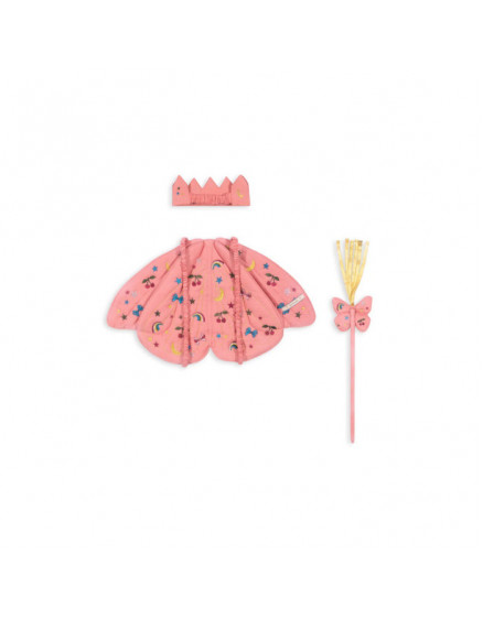 Butterfly Rainbow Costume 3
