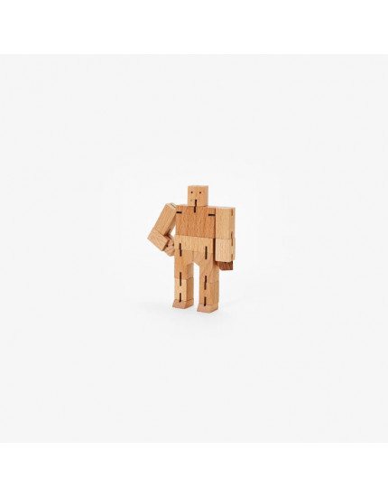 Cubebot Micro 3Y+