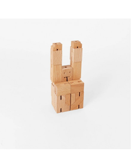 Cubebot Micro 5