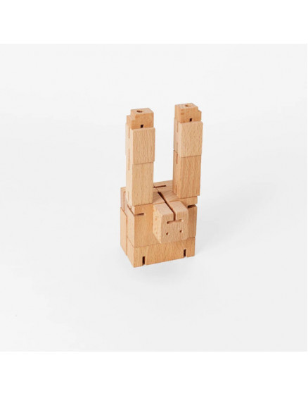 Cubebot Micro 2