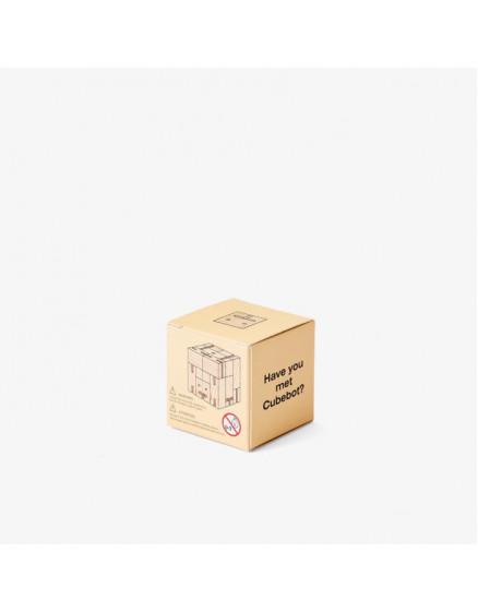 Cubebot Small 5