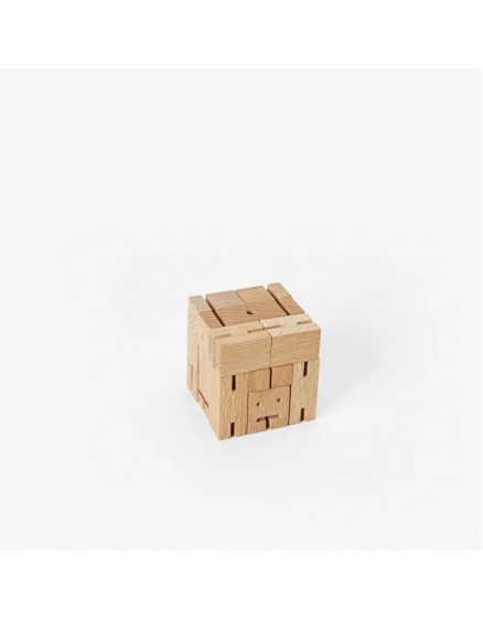 Cubebot Small 4