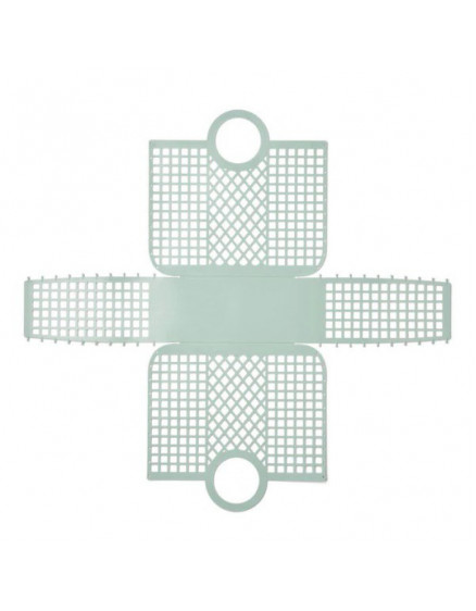 Bloom Basket Peppermint 2