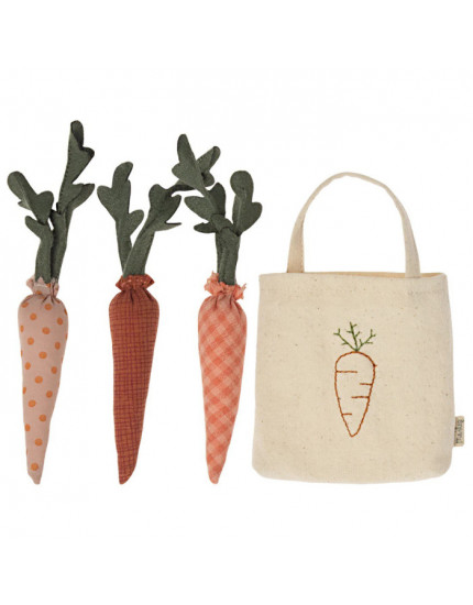 Carrots in shopping bag 3Y+