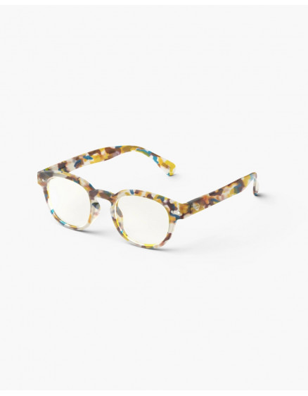 Junior Screen #C  Blue Tortoise 5-10 2