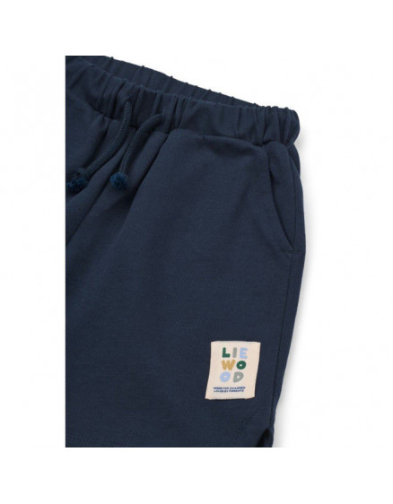 Rhett Shorts Navy 4