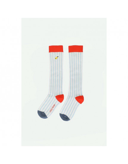 Socks Stripes Zissou Blue 25-27