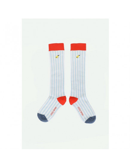 Knee High Socks Stripes Zissou Blue 4