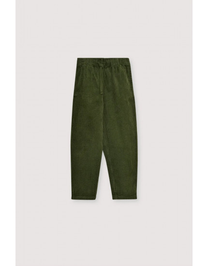 Nicol Pant Hidden Forest  12Y