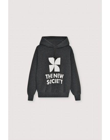 TNS Logo Hood Sweatshirt Galactic Grey Melange 10Y