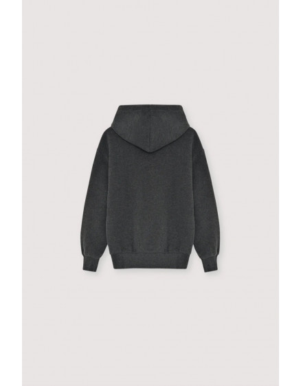 TNS Logo Hood Sweatshirt Galactic Grey Melange 3