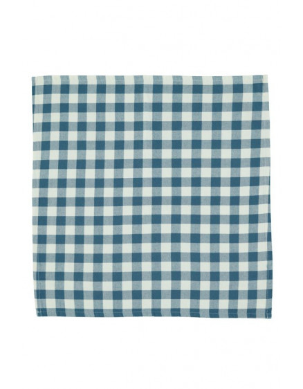 Bandana Blue & white checkered 4