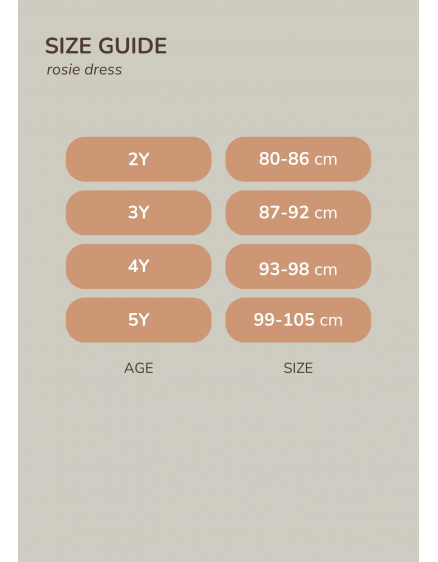 Rosie Blush Dress 2