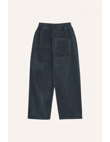Штани Grey Corduroy 2