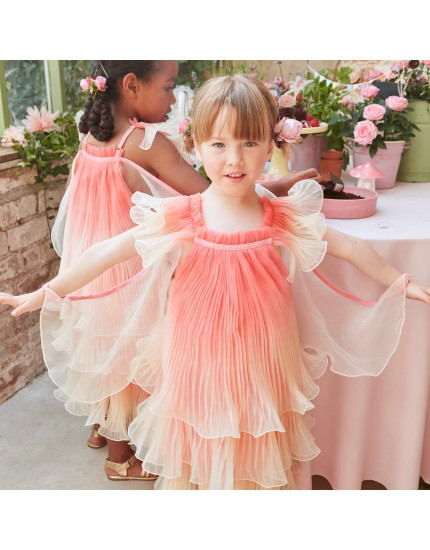Fairy Costume Age 3-4 One Size