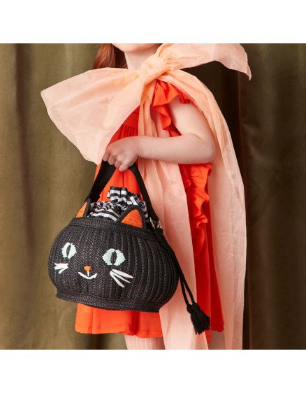 Trick Or Treat Cat Basket Bag 2