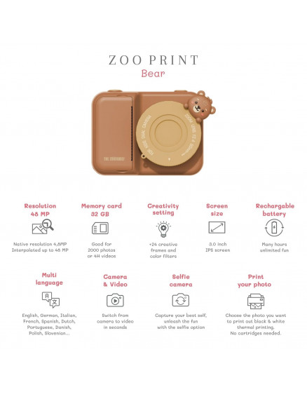 Zoo Print - Bear  4