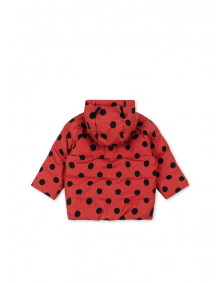 Nuka Ladybug Jacket Lady Dot 5