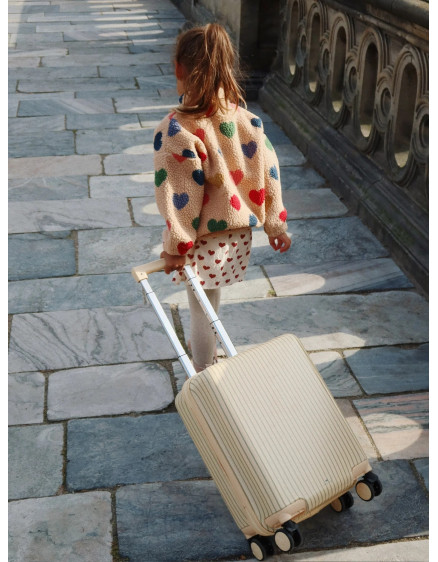Travel Suitcase Tea Stripe 6