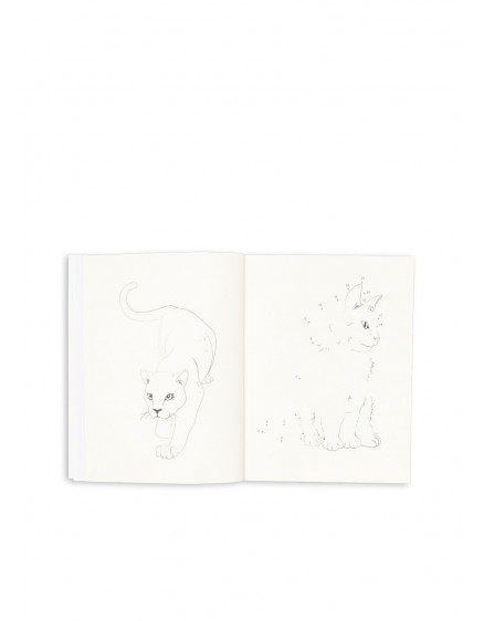 Activity Book Multi 2
