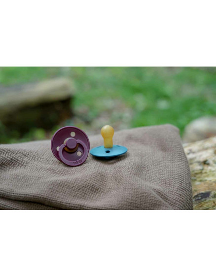 Pacifier Colour Elderberry  3