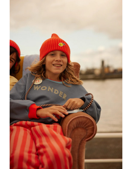 Beanie Wonders Red Hat 3