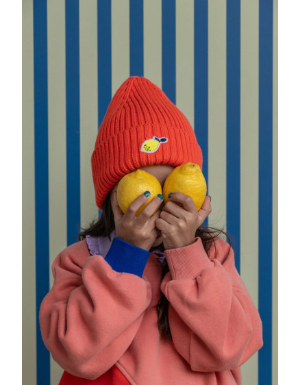 Beanie Wonders Red Hat 5