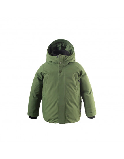 Chipmunck Bronze Green