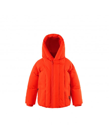 Hound Dog Poppin Red Jacket