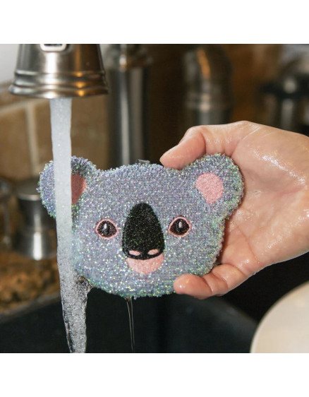 Koala Sponges 2