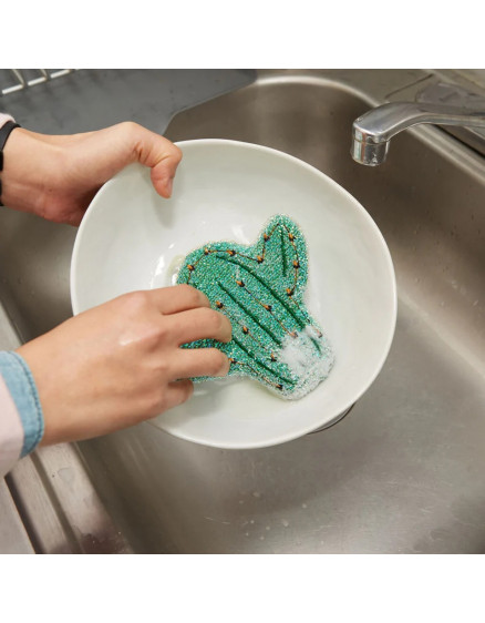 Cactus Scrub Sponge 2