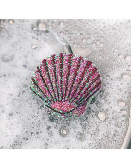 Seashell Scrub Sponges 4