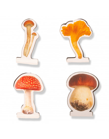 Mushroom Magnetic Bookmarks  One Size