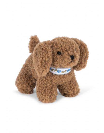 Activity Puppy Dog