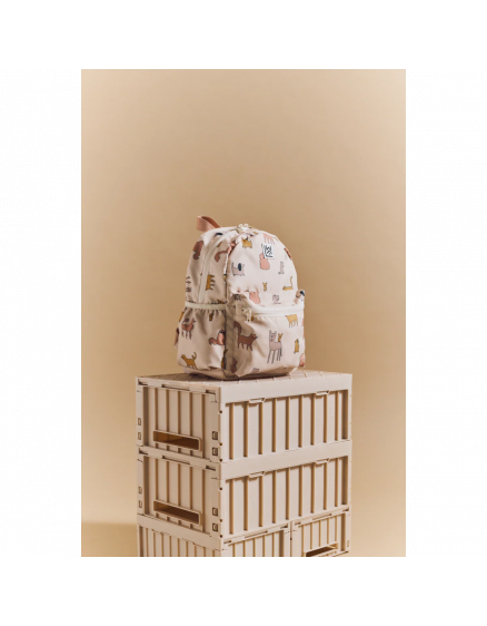 Andreas Backpack Cats and Dogs 2