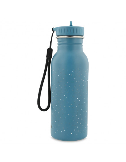 Bottle 500ml  Mr. Triceratops 4