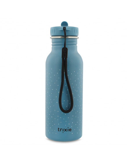 Bottle 500ml  Mr. Triceratops 3