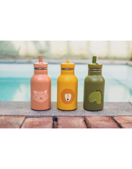 Bottle 350ml Mrs. Cat 3