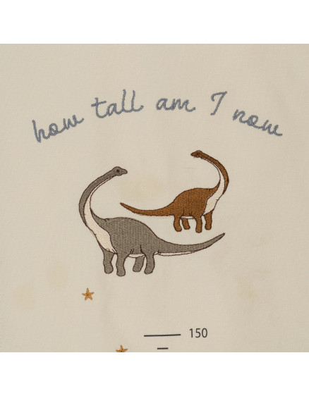How Tall Am I Now Dino 5