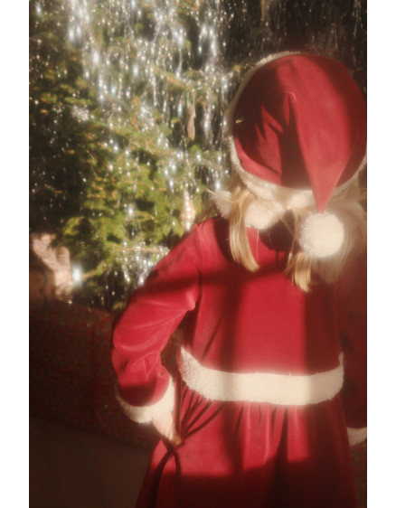Christmas Dress Red Dahlia 2