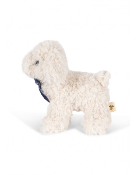 Baby Animals White Dog 2