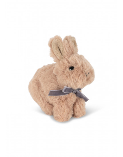 Baby Animals Brown Bunny