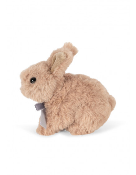 Baby Animals Brown Bunny 3