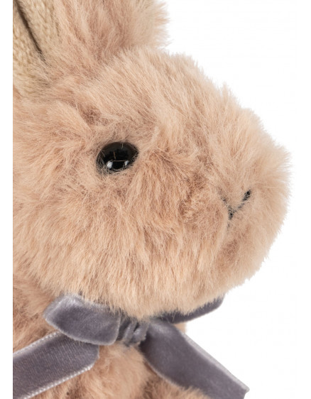 Baby Animals Brown Bunny 2