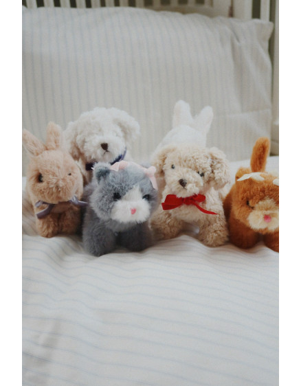 Baby Animals Brown Cat 8
